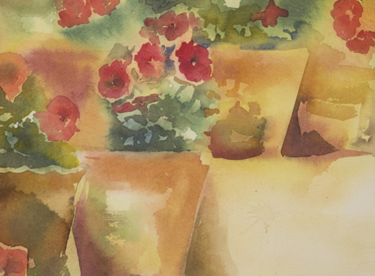 Watercolor painting of geranium pots